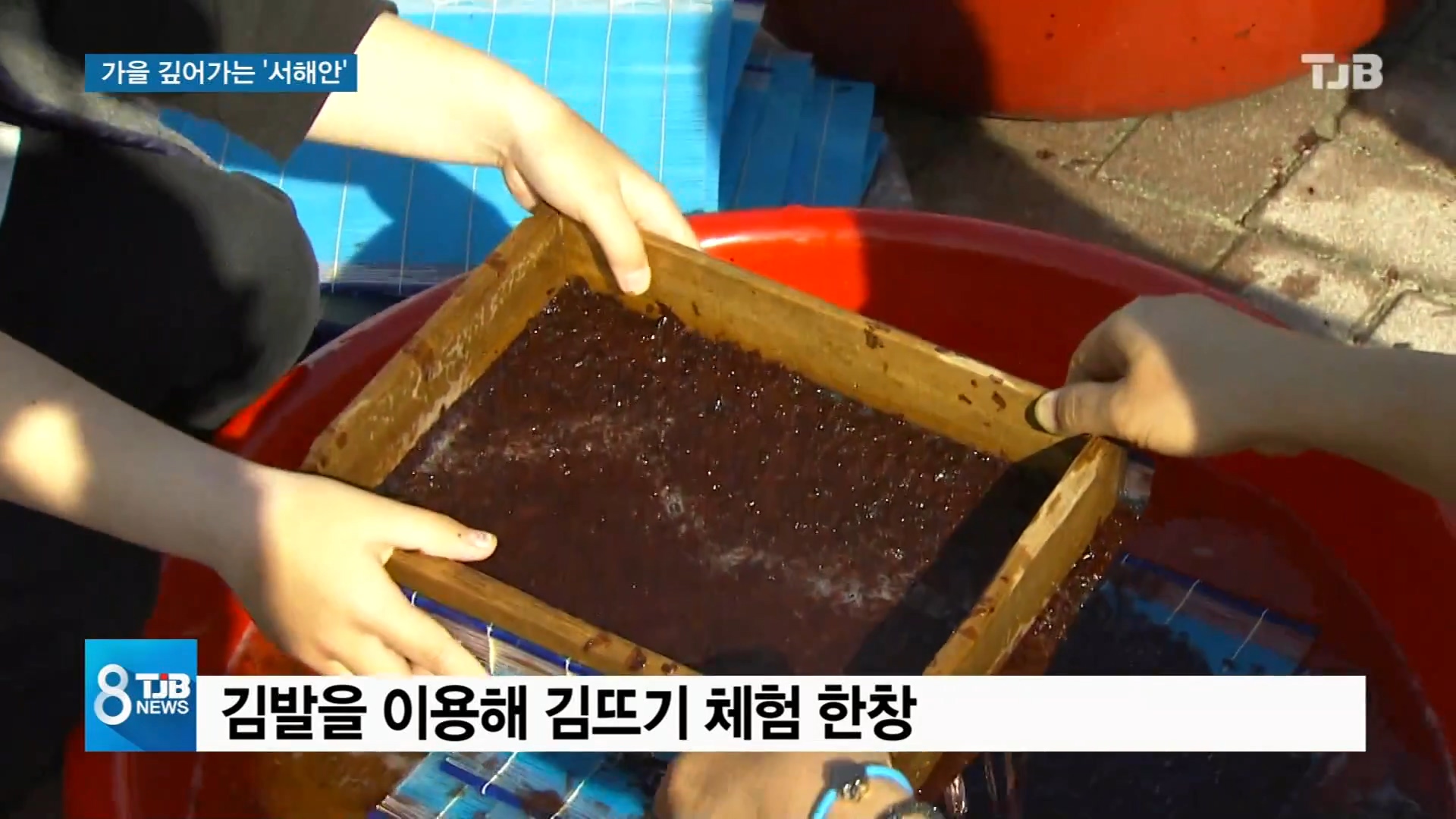 [1103 TJB 8시 뉴스]서해안 가을잔치 김축제